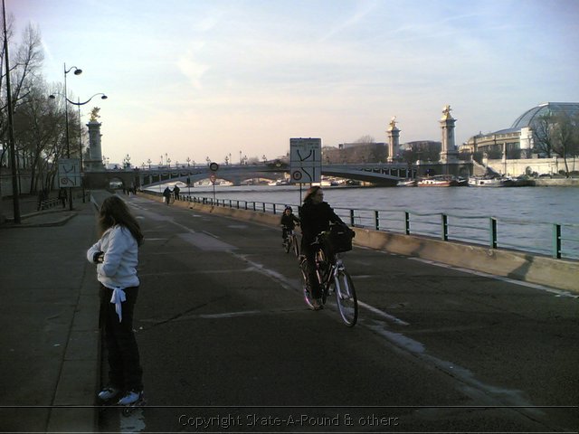 Pont alex fietsen in parijs op 15012006.jpg
