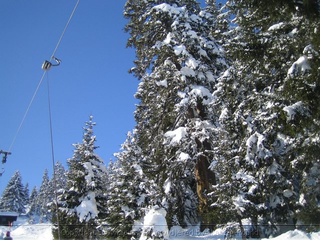 Wintersport vakantie alleengaanden - Carve-A-Round Yearly - foto's kerst 2005 (101).jpg