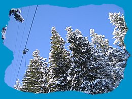Wintersport vakantie alleengaanden - Carve-A-Round Yearly - foto's kerst 2005 (100).jpg