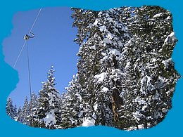 Wintersport vakantie alleengaanden - Carve-A-Round Yearly - foto's kerst 2005 (101).jpg