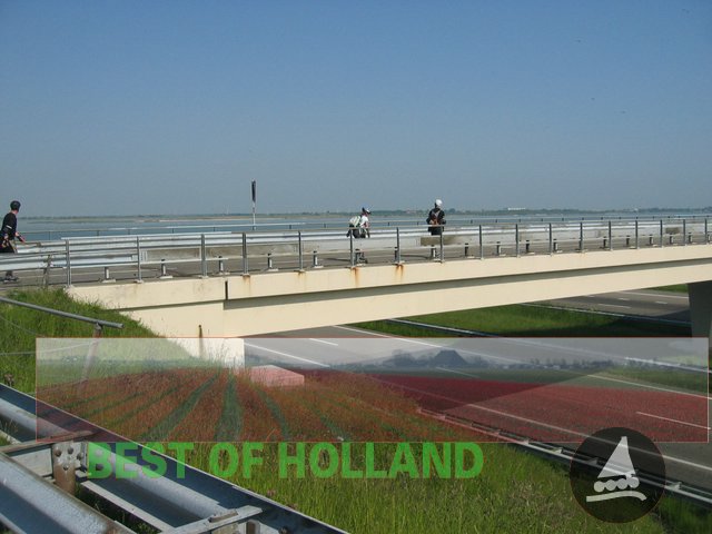 Skatereisen Niederlande (120).JPG
