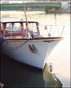 Huur kleine boot privegebruik op de Seine in Parijs Lex and the City  (1).jpg