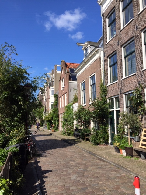 Verrassend Amsterdam stadstour in met Bickerseiland Westelijke Eilanden