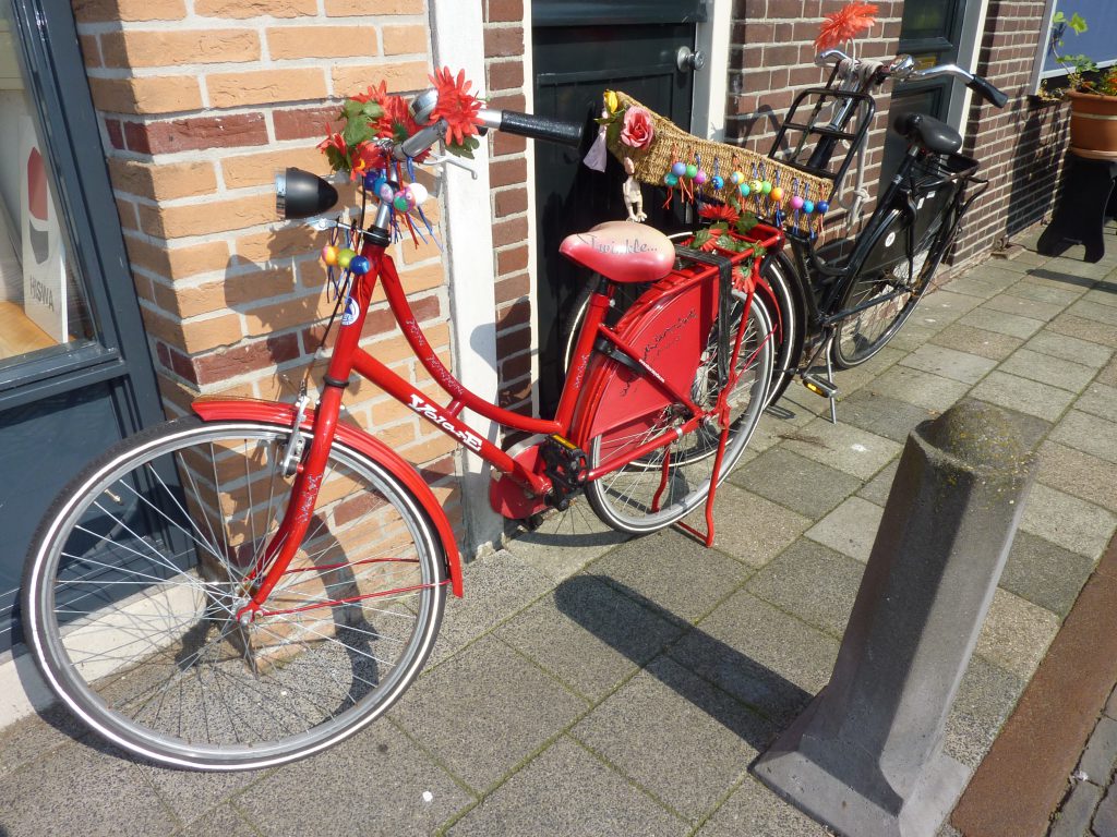 Biking during an incentive trip in the Netherlands and on Texel with Lex and the City tours