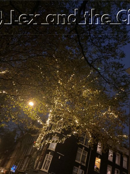 Verlichte boom aan de Noordzijde van de Pijp in Amsterdam - Tijdens rollende tour Lex and the City. - Rondleiding Vondelpark en ook langs musea, villa's en dus de Pijp