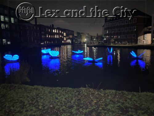 Amsterdam Light Festival 2021-2022 - Lightmonument Butterfly Effect - part of the private tour with Lex and the City