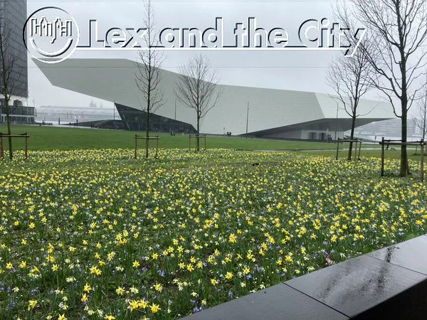 EYE film museum with the autumn 2024 flowers - Lex and the City bike tours picture
